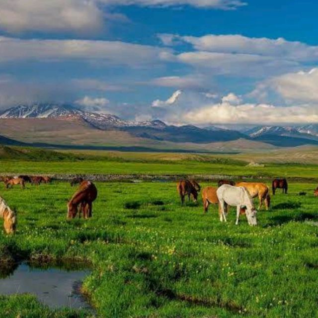 Deosai National Park