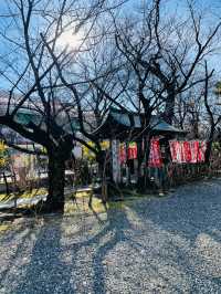 【愛知県】2024年(辰年)に行きたい若宮龍神社
