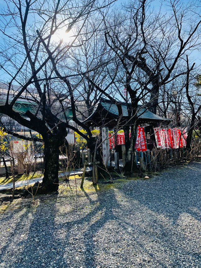 【愛知県】2024年(辰年)に行きたい若宮龍神社