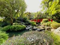 เนโกะเอม่อนคาเฟ่ เชียงใหม่