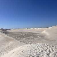 퍼스 사막에서 액티비티를 하고 싶다면 Lancelin Sand Dunes