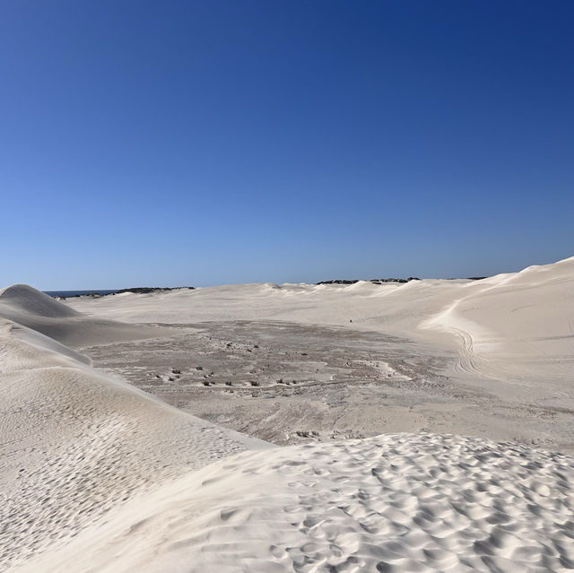 퍼스 사막에서 액티비티를 하고 싶다면 Lancelin Sand Dunes