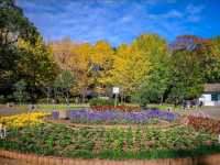 Yoyogi Park
