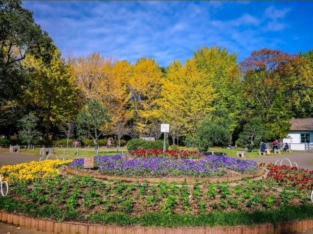 Yoyogi Park
