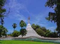 วัดพระธาตุแช่แห้ง  พระธาตุประจำปีเถาะ  