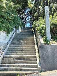 【酒列磯前神社/茨城県】約300mの樹叢と海の見える神社