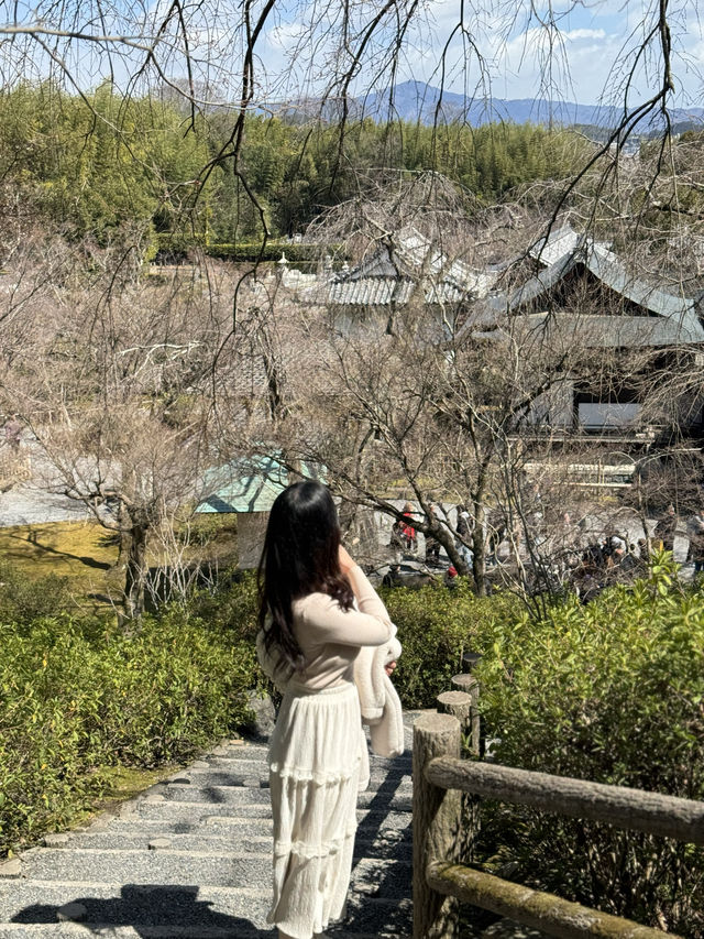 푸릇푸릇한 계절에 한번더 방문하고픈 교토 관광지