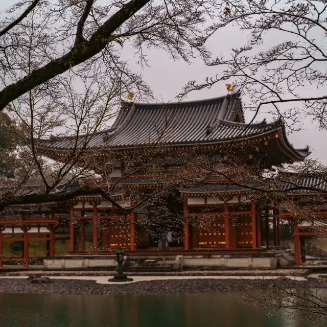 유네스코 세계문화유산으로 십엔뒷면배경인.우지보됴인