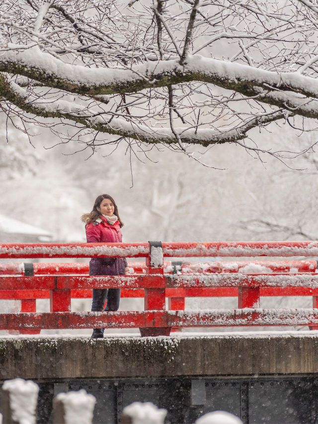 3月遊日遇上落雪！冰雪下的飛驒高山老街 