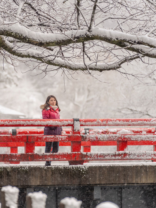 3月遊日遇上落雪！冰雪下的飛驒高山老街 