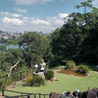 Must Do Taronga Zoo