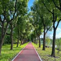 澳門大潭山郊野公園：親山體驗，美好記憶