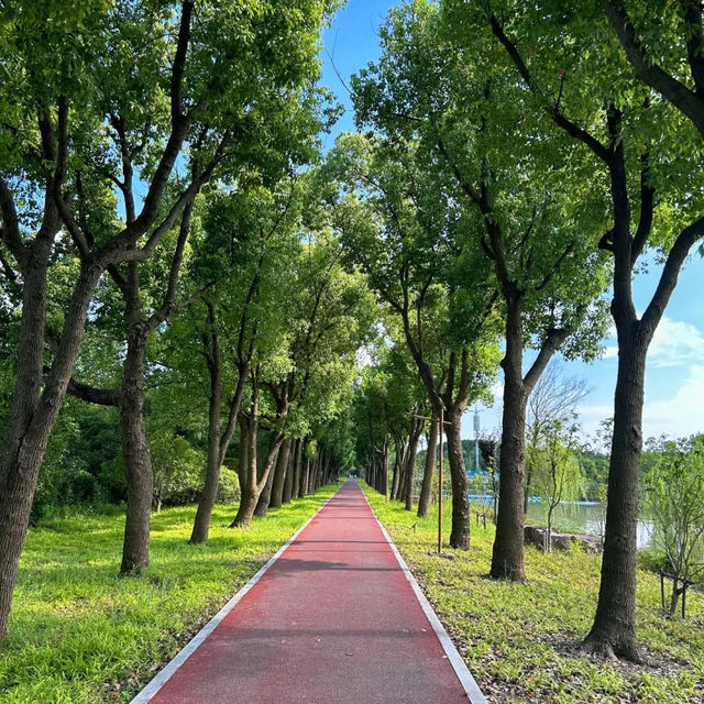 澳門大潭山郊野公園：親山體驗，美好記憶