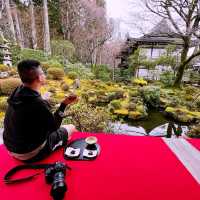 ⛩️🌸京都三千院🍁🚞嵐山小火車