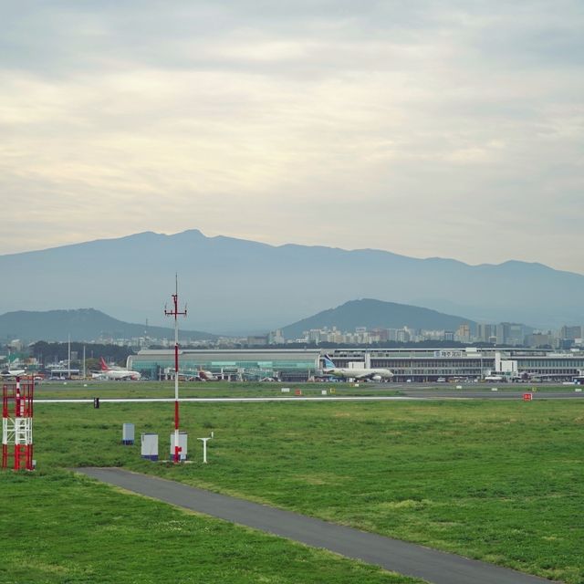 ✈️ 제주올레길공항코스, 공항과 하늘을 걷다