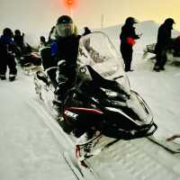 Snowmobile adventure & snow crabs feast