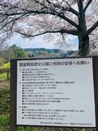 【奈良県】桜が美しい春の国営飛鳥歴史公園