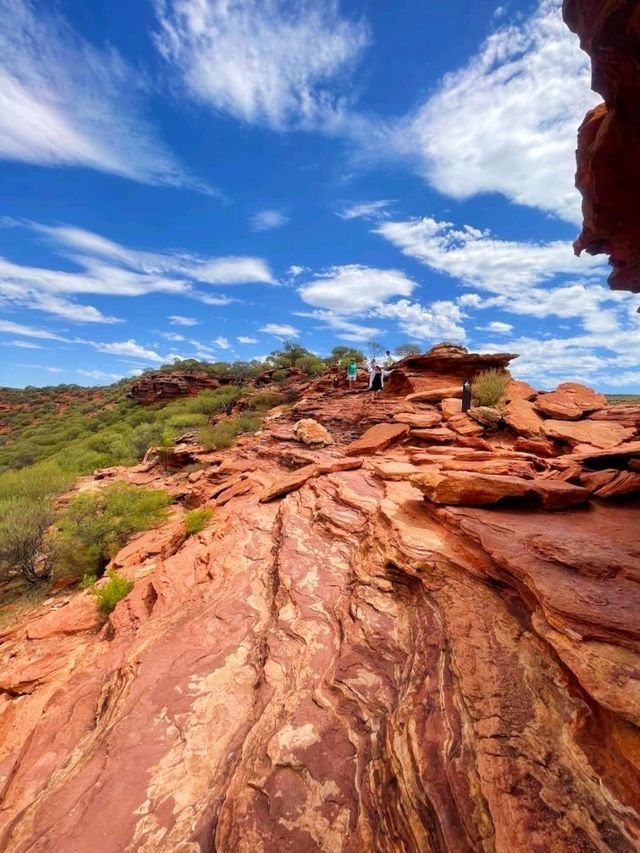 Nature's Window