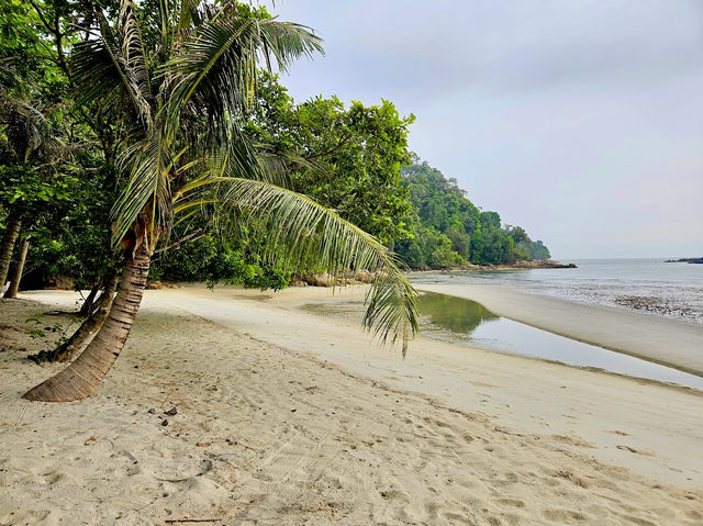 Penang National Park 