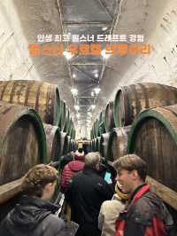 배럴에서 바로뽑은 감동 생맥주🥹 필스너 우르켈 브루어리