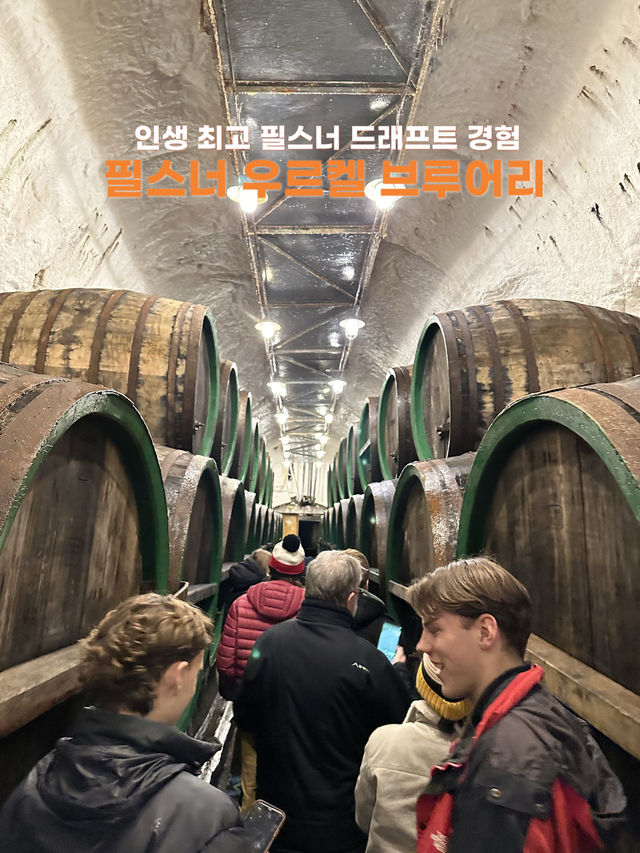 배럴에서 바로뽑은 감동 생맥주🥹 필스너 우르켈 브루어리