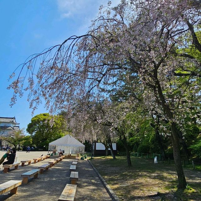 名古屋城屋台美食〔手羽先〕