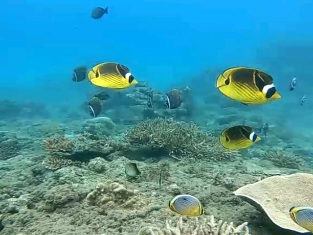 pasikudah Boat Ride