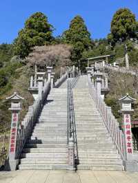 【大山阿夫利神社/神奈川県】春は華やかな枝垂れ桜のもとで参拝