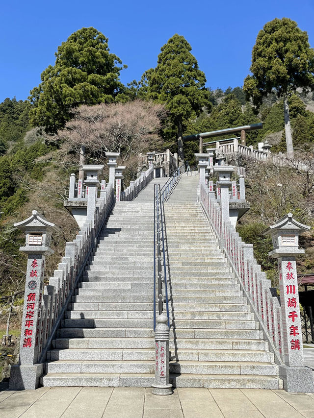 【大山阿夫利神社/神奈川県】春は華やかな枝垂れ桜のもとで参拝