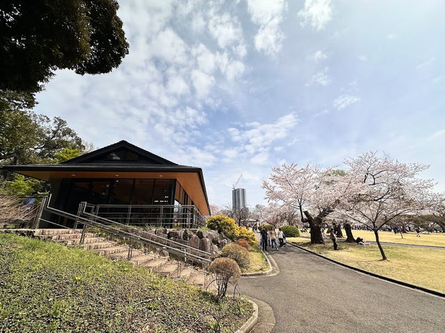 Shinjuku Gyoen National Garden