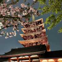 💫 Tokyo’s most Vibrant District: Asakusa! 🇯🇵