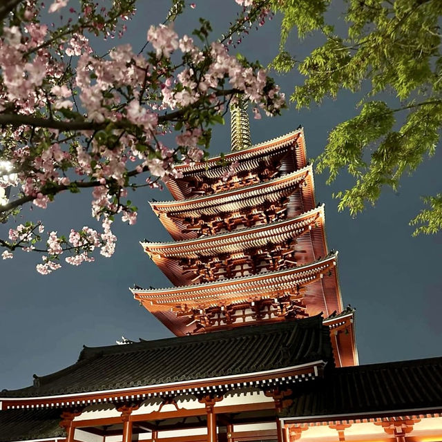 💫 Tokyo’s most Vibrant District: Asakusa! 🇯🇵