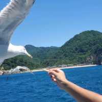 笹川流れ遊覧船