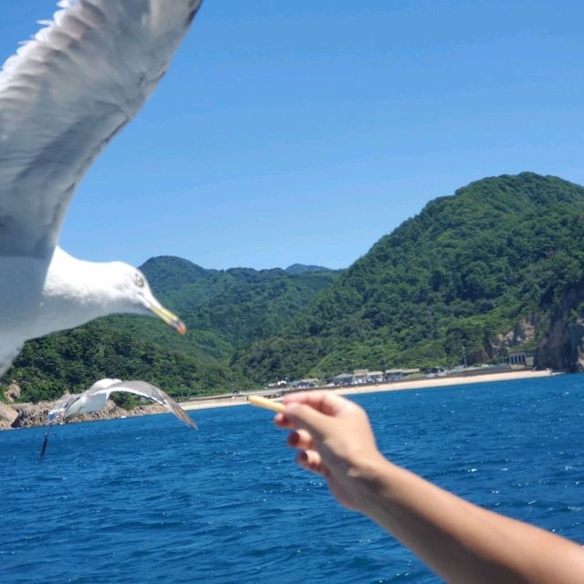 笹川流れ遊覧船