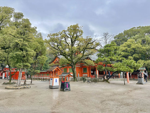 후쿠오카 스미요시 신사 ⛩️