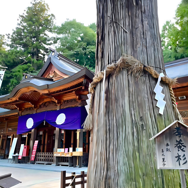【穂高神社/長野県】海神族の祖神と船を司る