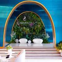 Best Western Plus Carapace Hotel Hua Hin