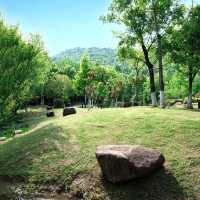 【日韓春天好去處】城市綠洲，親密接觸大自然