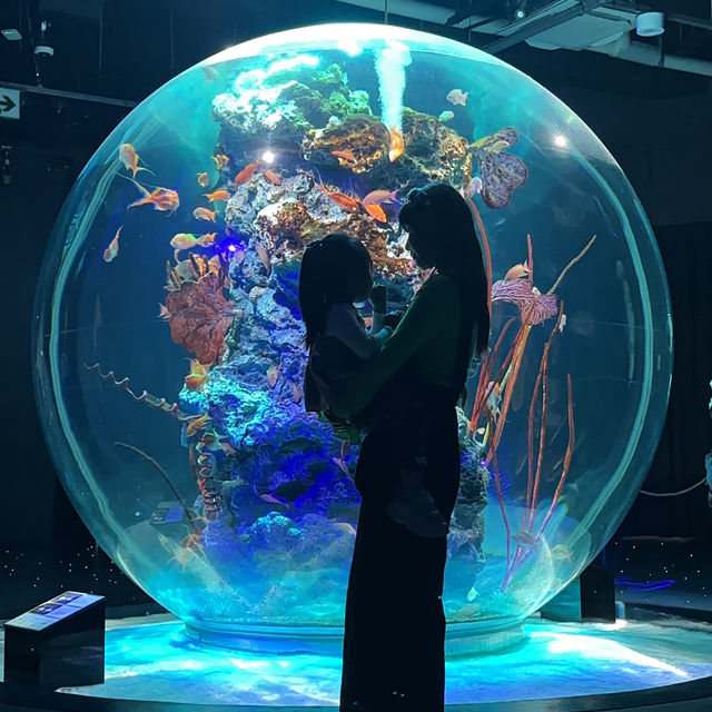 【兵庫】子供と楽しめる！最先端なアート水族館🪼