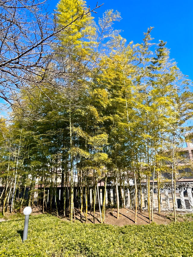 【祥応寺/東京都】摩迦羅（マカラ）が迎える癒しの寺院