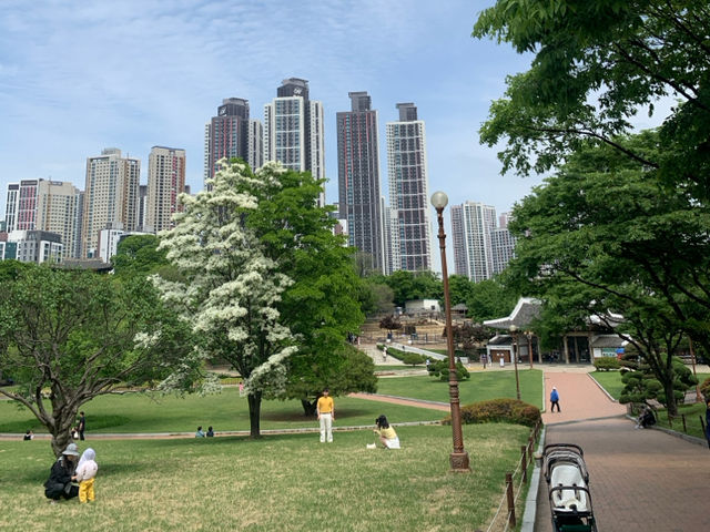 아이들과 함께하기 좋은 도심 속 공원, 대구 달성공원