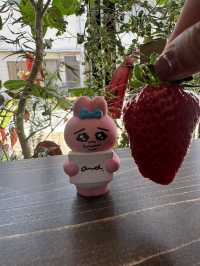 【大阪カフェ】可愛さ満点のスイーツたち🍓リピしたくなる人気店✨