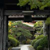 光禪寺～山形名園，春天好去處