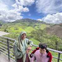 Trip to Cameron Highlands and stop in Gua Musang