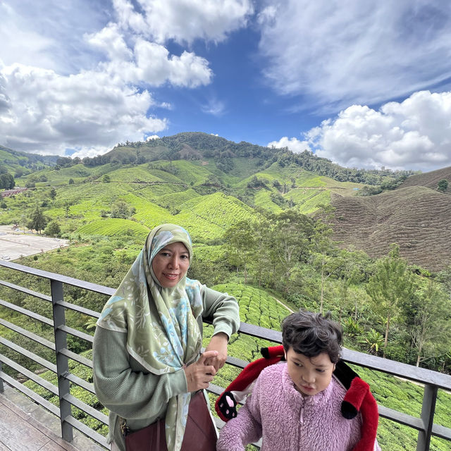 Trip to Cameron Highlands and stop in Gua Musang