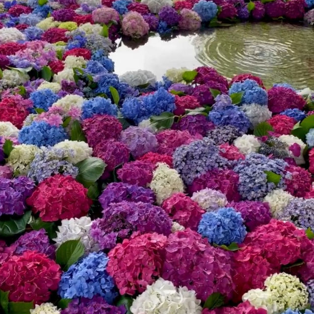 【福岡観光】6月になるとお目見えする花手水
