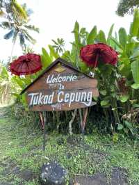 🇮🇩Tukad Cepung for impressive waterfall 