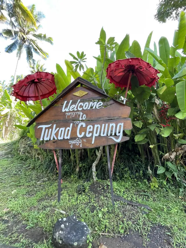 🇮🇩Tukad Cepung for impressive waterfall