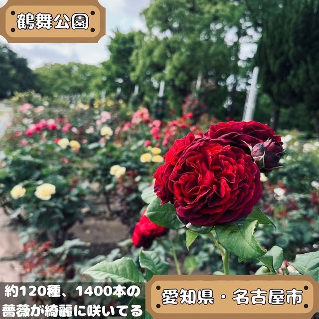鶴舞公園