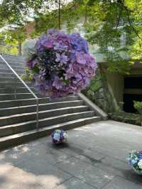 【福岡観光】有名アニメでも有名になった竈門神社